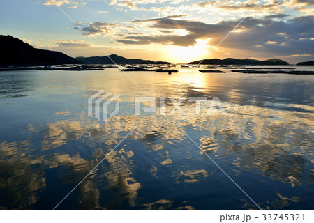 虫明追門 33745321