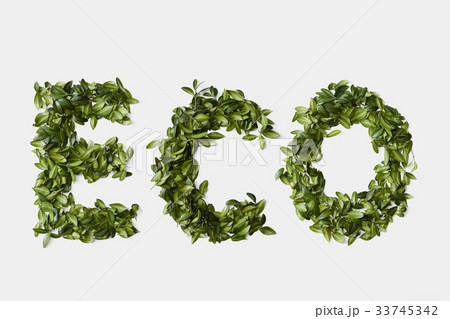 Ecology symbol from leaves isolated on white Ecology symbol from leaves isolated on white 33745342