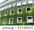 甲子園 33746645