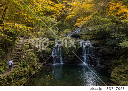 秋の赤目四十八滝　赤目五瀑の一つ　荷担滝 33747063
