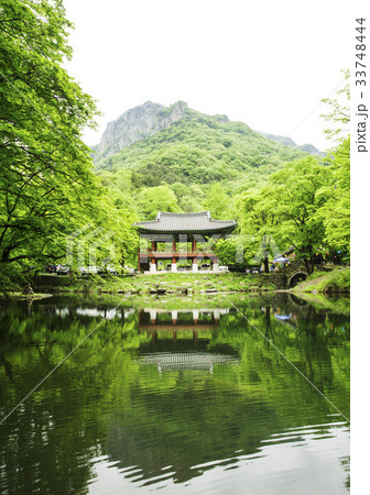 白羊寺 全羅南道 韓国 33748444