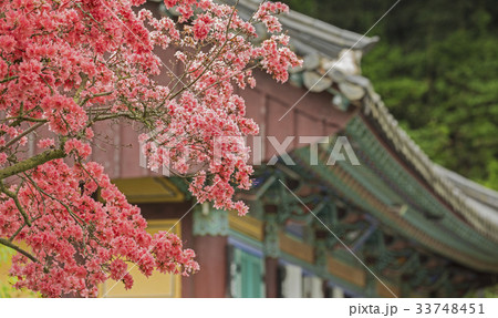 ベクアムサン 白羊寺 全羅南道 33748451