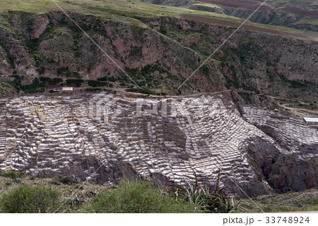 サリナス 塩田 クスコ 33748924