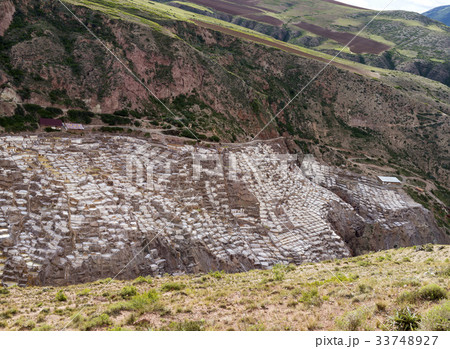 サリナス 塩田 クスコ 33748927
