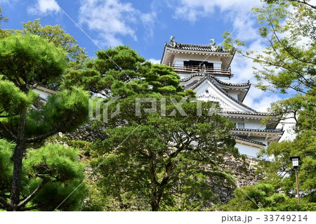 夏の高知城 追手門 詰門 天守 本丸御殿 黒鉄門 夏の高知城 追手門 詰門 天守 本丸御殿 黒鉄門 33749214