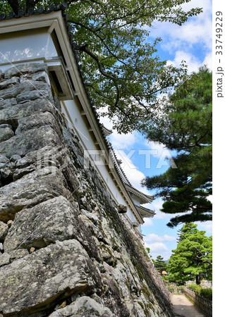 夏の高知城 追手門 詰門 天守 本丸御殿 黒鉄門 夏の高知城 追手門 詰門 天守 本丸御殿 黒鉄門 33749229