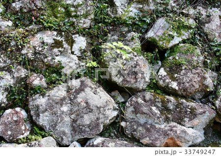 夏の高知城　追手門　詰門　天守　本丸御殿　黒鉄門 33749247