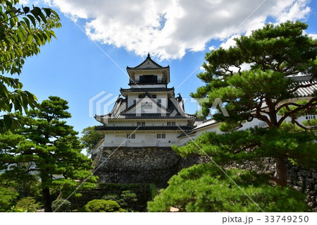 夏の高知城 追手門 詰門 天守 本丸御殿 黒鉄門 夏の高知城 追手門 詰門 天守 本丸御殿 黒鉄門 33749250