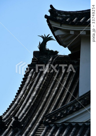夏の高知城　追手門　詰門　天守　本丸御殿　黒鉄門 33749254