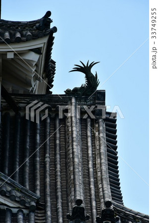 夏の高知城　追手門　詰門　天守　本丸御殿　黒鉄門 33749255