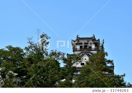 夏の高知城　追手門　詰門　天守　本丸御殿　黒鉄門 33749263