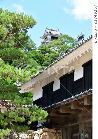 夏の高知城　追手門　詰門　天守　本丸御殿　黒鉄門 33749267