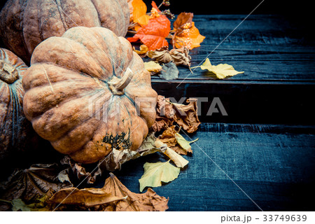 thanksgiving day and autumn season, pumpkin thanksgiving day and autumn season, pumpkin 33749639