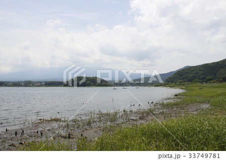 初夏の大石公園から望む富士山 33749781