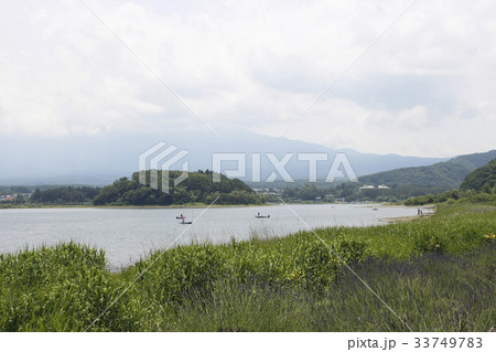 初夏の大石公園から望む富士山 33749783