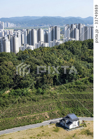 木 世宗市 アパート 33749989