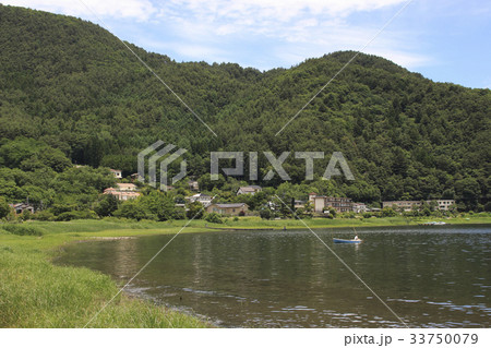 初夏の大石公園にて 初夏の大石公園にて 33750079