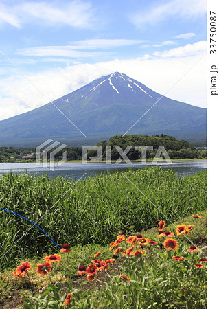初夏の大石公園にて 初夏の大石公園にて 33750087
