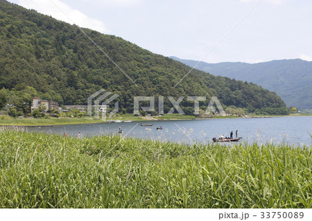 初夏の大石公園にて 初夏の大石公園にて 33750089