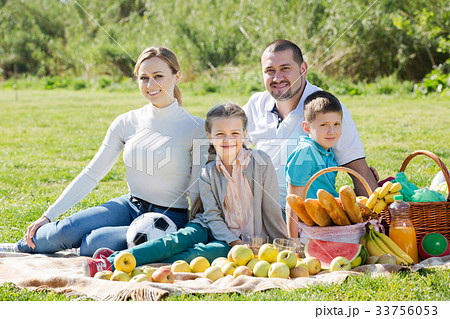 Family having a picnic 33756053