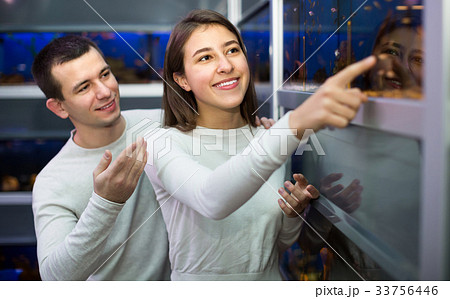 Couple watching fish in petshop. 33756446