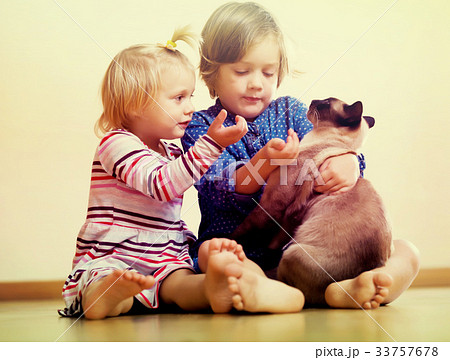 Two happy little girls with cat Two happy little girls with cat 33757678
