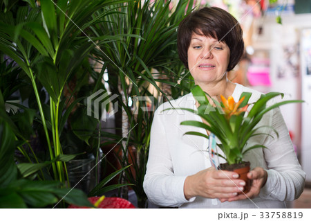 Customer choosing bromelia Customer choosing bromelia 33758819