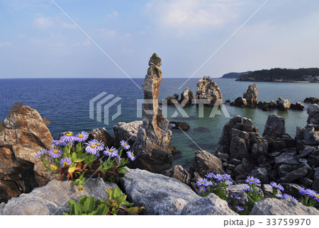 江原道 海 燭台岩 33759970