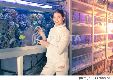Girl in aquarium shop with interest looking at colorful fishes Girl in aquarium shop with interest looking at colorful fishes 33760978