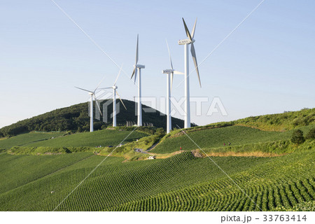 江原道 白菜畑 太白市 33763414