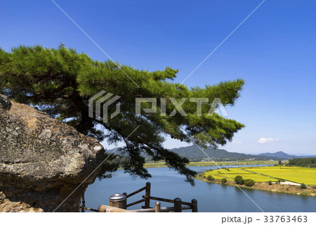 慶北 洛東江 常 33763463