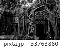 タプローム 33763880