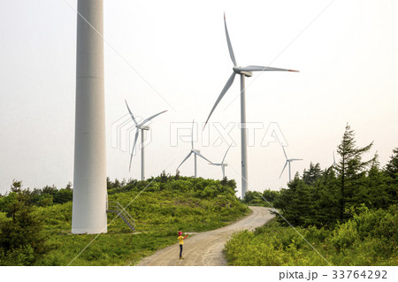 江原道 木 タービン 33764292