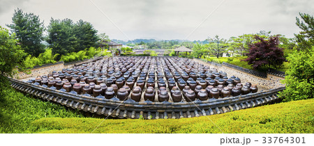 京畿道 キョンギド ソイル農園 33764301