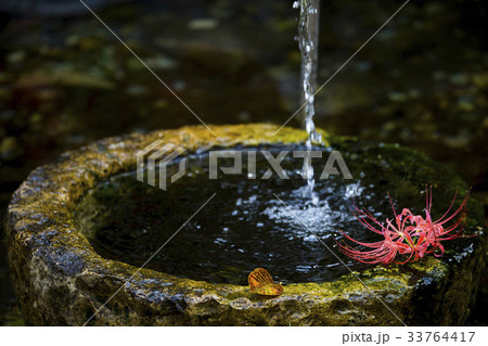 コトムルト 水 水流 33764417