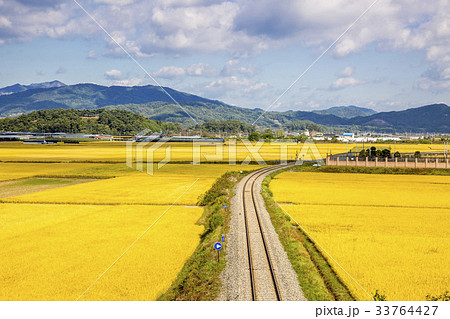 慶北 稲 常 33764427