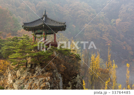 ウォルリュボン 忠清北道 韓国 33764485