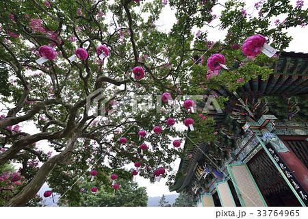大雄殿 蔓延社 ベロン木 33764965