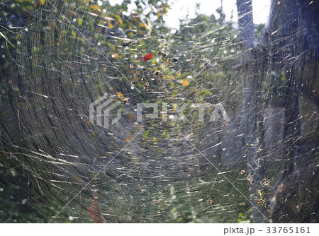 ウェブ 屋外 室外 33765161