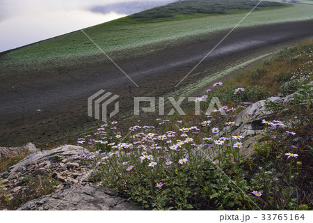 干ばつ ゲスクブジェンイ 沃川郡 33765164
