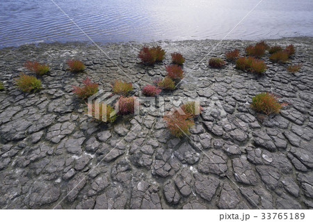 干ばつ 地 釜山 33765189