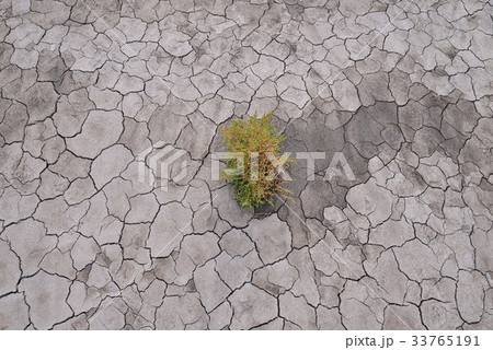 干ばつ 割れ 釜山 33765191