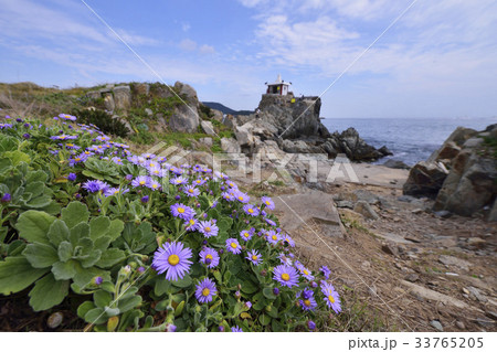 機張郡 釜山 オランの 33765205