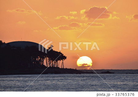 椿島 シルエット オレンジ 33765376