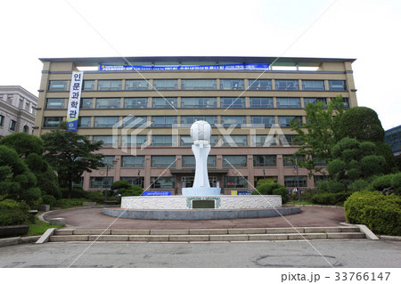 木 ソウル 学校 33766147