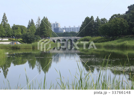 ソウル 松坡区 オリンピック公園 33766148
