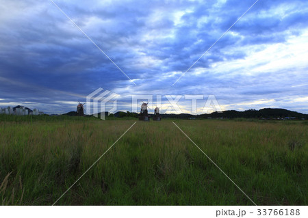 生態公園 仁川 インチョン 33766188