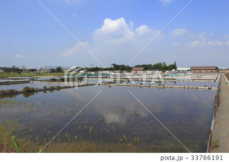 京畿道 キョンギド 始興市 33766191