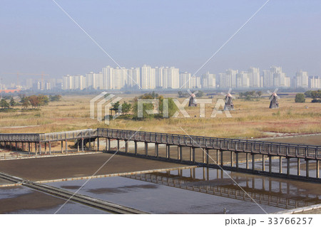 生態公園 仁川 インチョン 33766257