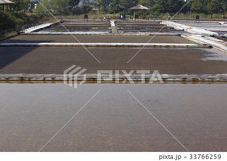 生態公園 塩田 仁川 33766259